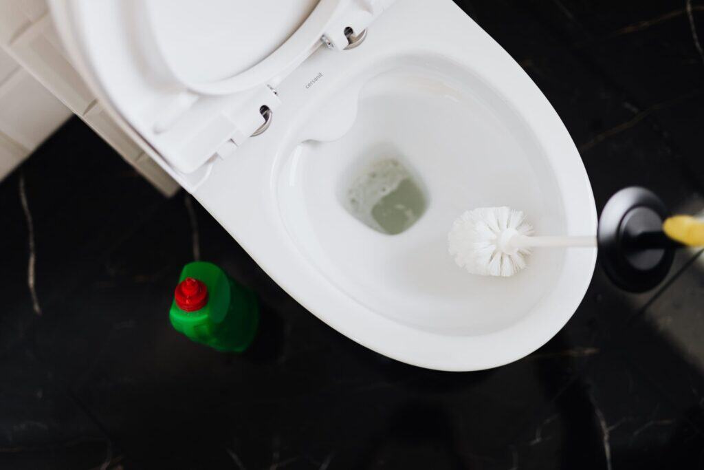 vers dans les toilettes 1